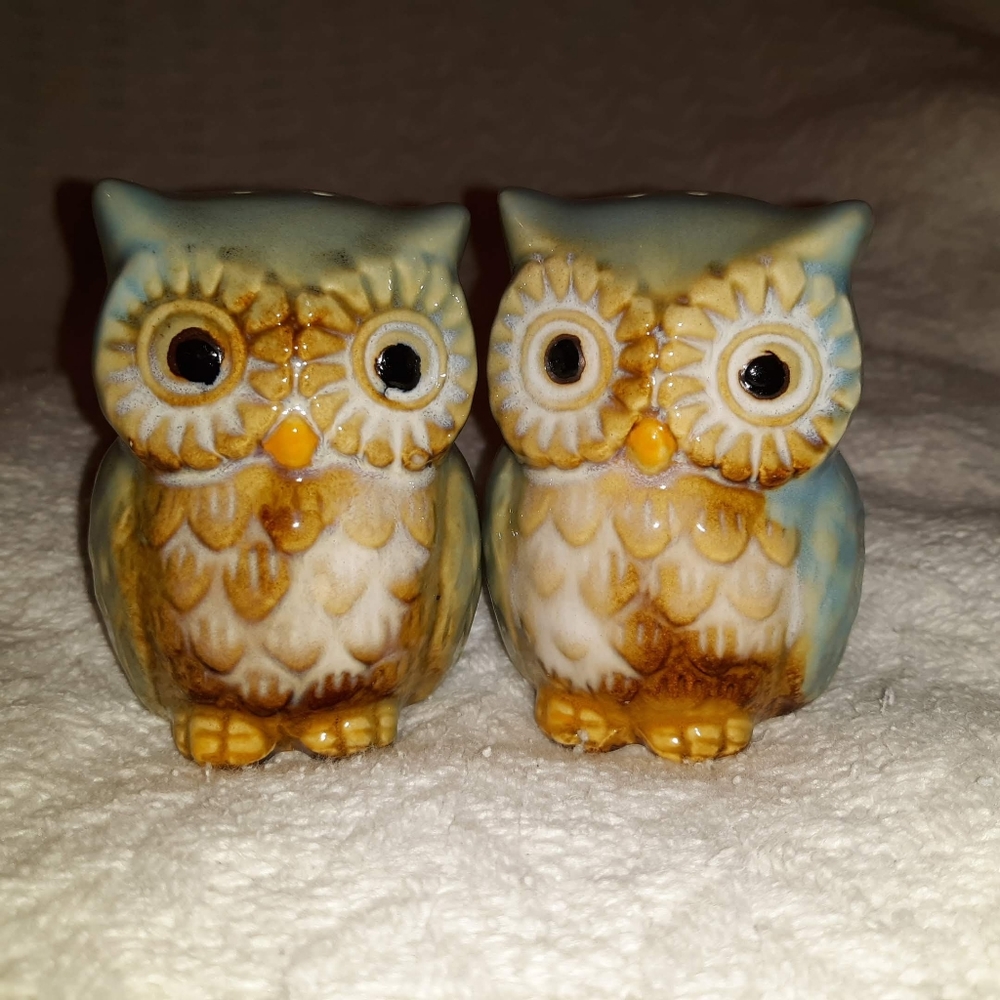 Adorable Ceramic Owl Salt & Pepper shakers NWOT